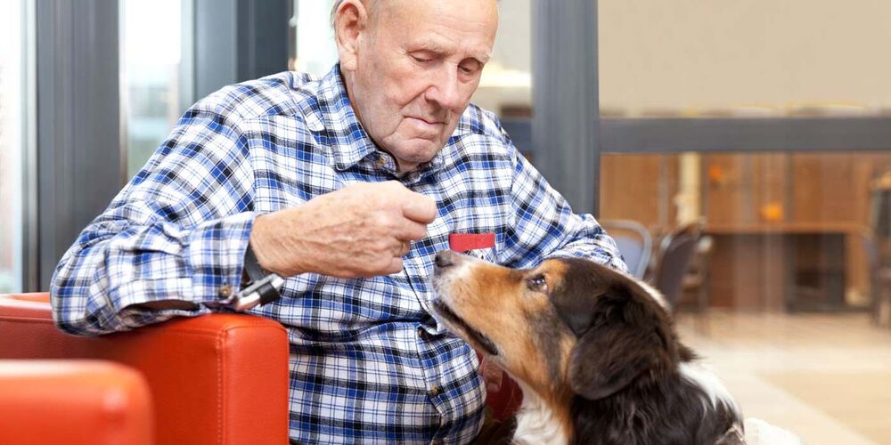 Ein älterer Herr sitzt auf einem Sessel. Vor ihm sitzt ein Hund, welcher mit seiner Schnauze an der Hand des Mannes schnuppert. 